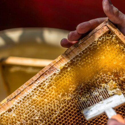 Divus policistus lūdz apsūdzēt par 50 kilogramu medus pieņemšanu kukulī