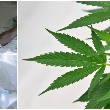 Sāpīgā dzīves nogale Latvijā – medicīniskās marihuānas legalizācija 'buksē' mediķu pretestības dēļ