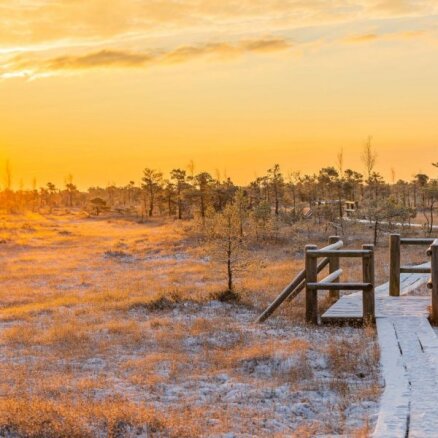 Maģiski dabas skati: saullēkts ziemas rītā Lielajā Ķemeru tīrelī