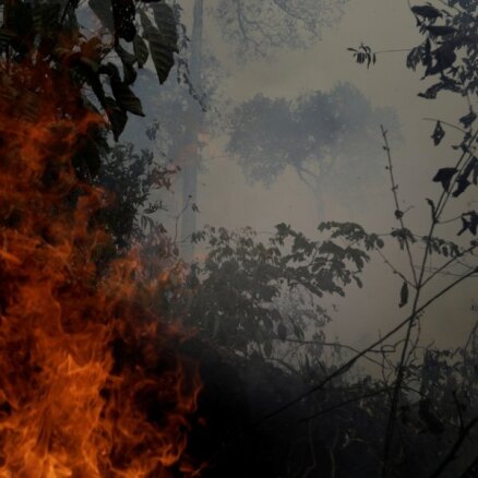 Amazones meža ugunsgrēki: Brazīlijā spēkā stājas dedzināšanas aizliegums