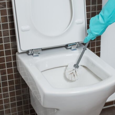Вопрос, который вы боитесь задать: как почистить вещи, которые вы используете для чистки туалета