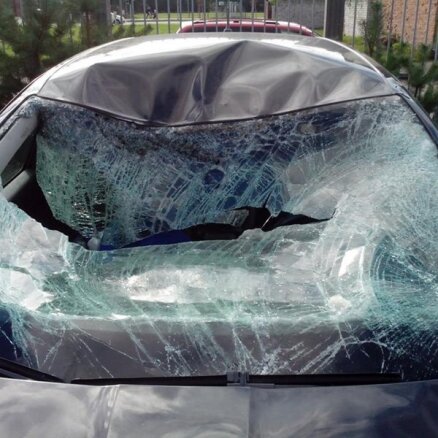 Kas paliek pāri no auto pēc sadursmes ar alni?