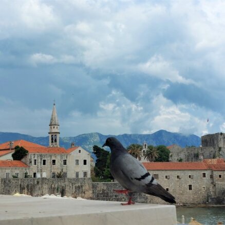 Как я побывала в Черногории и... влюбилась
