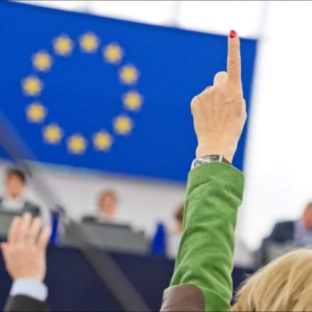 Под петицией за право неграждан избирать Европарламент подписались 17 000 человек