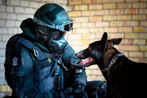 Служить и защищать: 8 действительно классных фото латвийской полиции