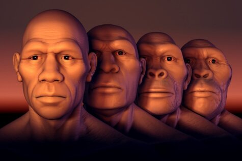 Video: Kā sešu miljonu gadu laikā mainījusies cilvēka seja
