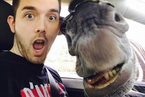 Vācu tūrists uzņēmis selfiju kopā ar zebru un antilopi
