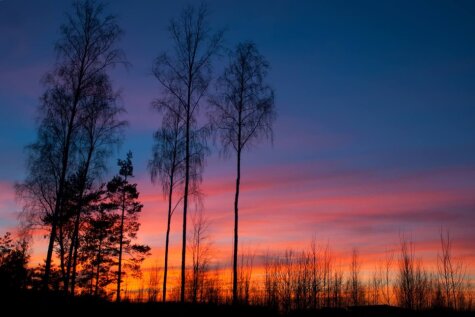 Это - фотография заката в Латвии! Есть такие же или лучше? Присылай!