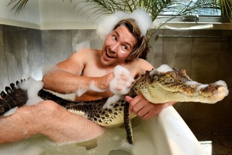 Drosmīgs zoologs vannā iet kopā ar pitonu un krokodilu