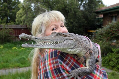 Austrālijā sieviete dzīvo un guļ kopā ar krokodilu Džoniju