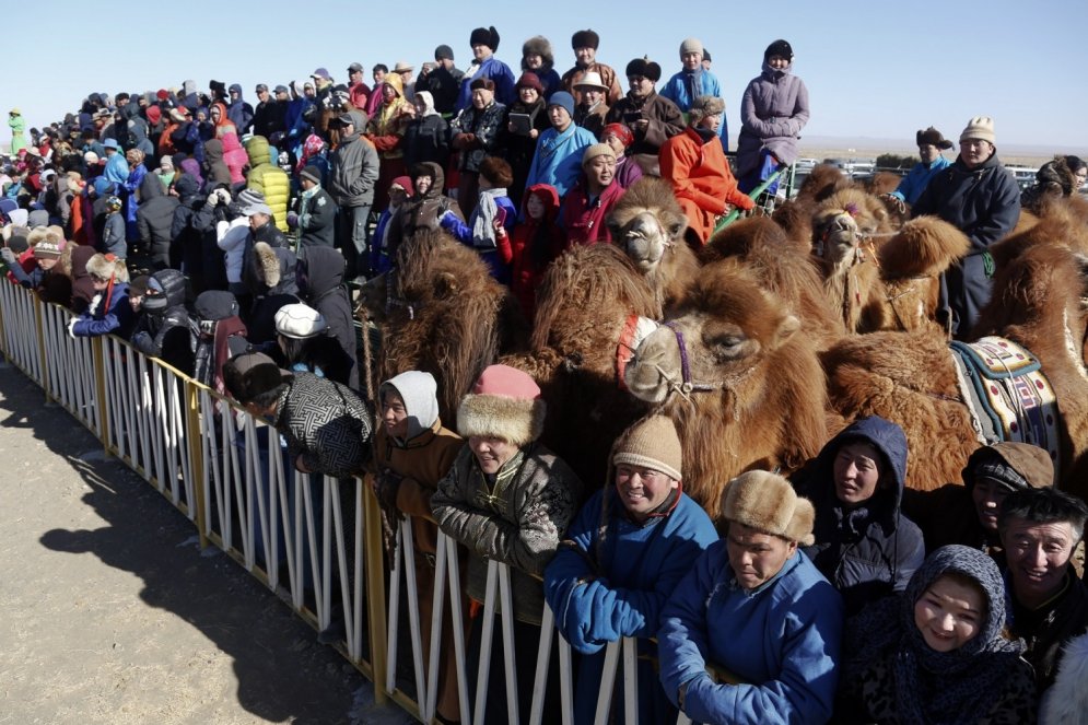 Iespējams, stilīgākais brīvā laika pavadīšanas veids: Jāšana ar kamieļiem
