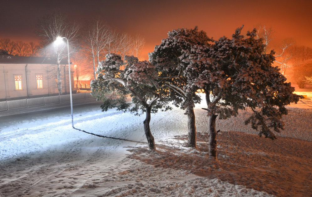 В Латвию пришла зима — смотри, какая красота!