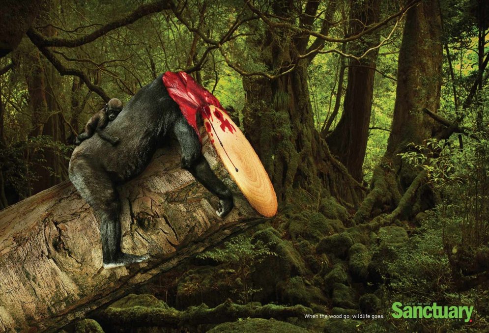 Суровая правда в (рекламных) картинках: срубил дерево — убил животное
