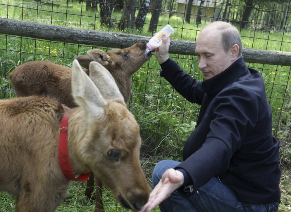 35 фото Владимира Путина, на которых показано ВСЁ!