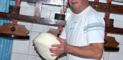 Stāsts par īstu lauku sieru jeb vienas zemnieku saimniecības ikdiena krīzes laikos