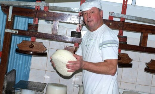 Stāsts par īstu lauku sieru jeb vienas zemnieku saimniecības ikdiena krīzes laikos