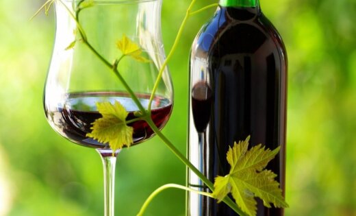 ТОП-5 лучших вин к шашлыку