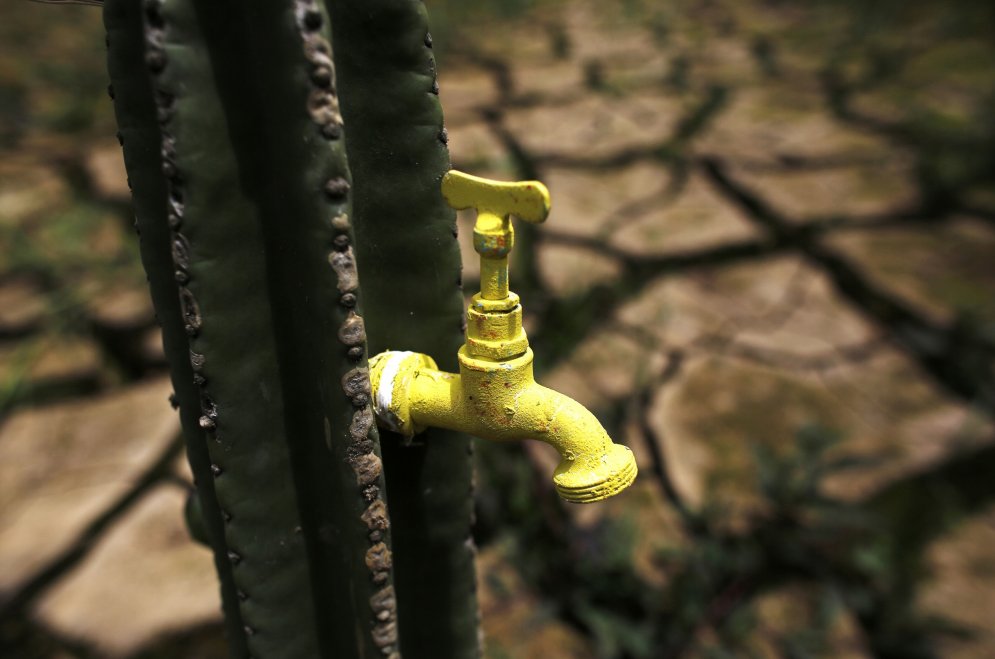 Vietā, kur bija jābūt ūdens rezervēm, mākslinieks iestāda kaktusu