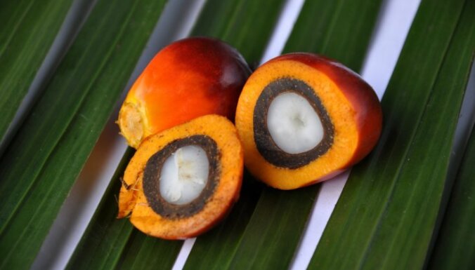 Правда ли, что пальмовое масло опасно для здоровья?