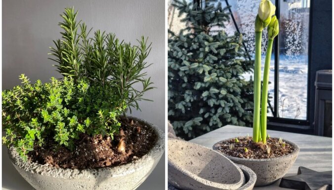 Skolnieces bizness, ko iedvesmoja 'Pinterest': Latvijā radīti interjera dekori no betona