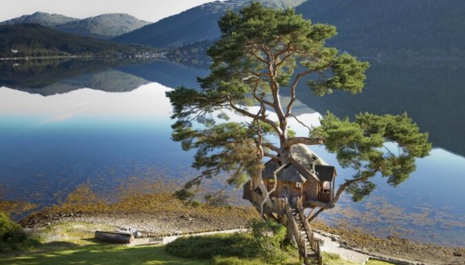 Restorāns koka zaros – brīnumaina vieta Skotijā, kur baudīt romantiku