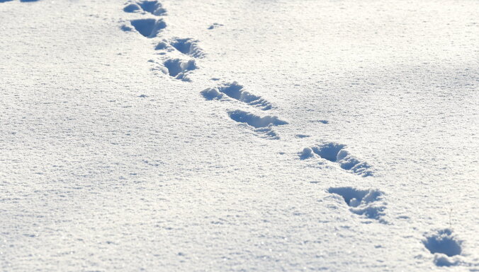 Зима вступила в права. На востоке Латвии снежный покрыв может сохраниться до следующего года