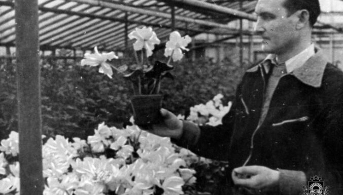 Vēsturiski kadri: kā pirmo pavasara ražu novāca 50. gados