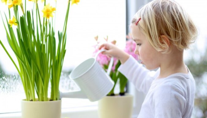 Rīgas Jūgendstila centrā bērniem stāstīs par pavasara ziedu pasauli