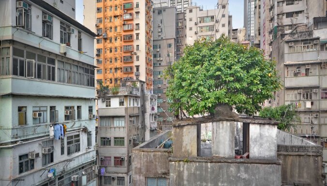 ФОТО, ВИДЕО. Небоскреб небоскребу рознь, или "Бетонные джунгли" Гонконга с высоты птичьего полета