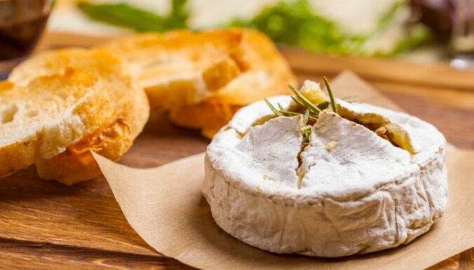 Сыр с белой плесенью: секреты производства, самые известные сорта и рецепты