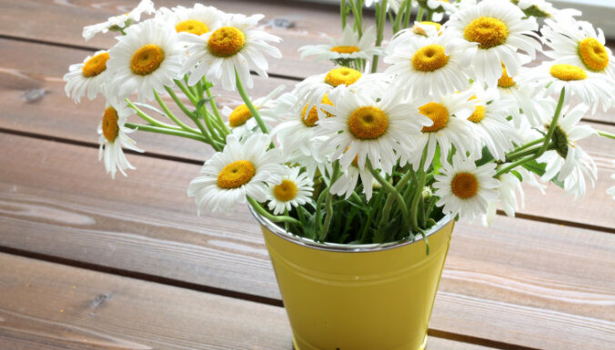 Kā vārds ietekmē tavu dzīvi: Margrieta, Margarita