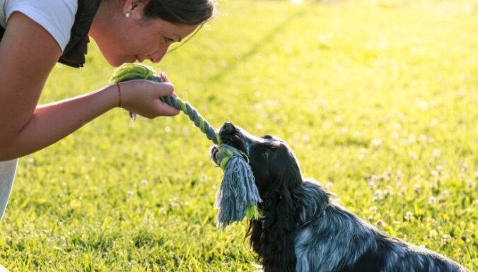 Lucavsalā demonstrēs veidus, kā saimniekiem nodarbināt savus suņus