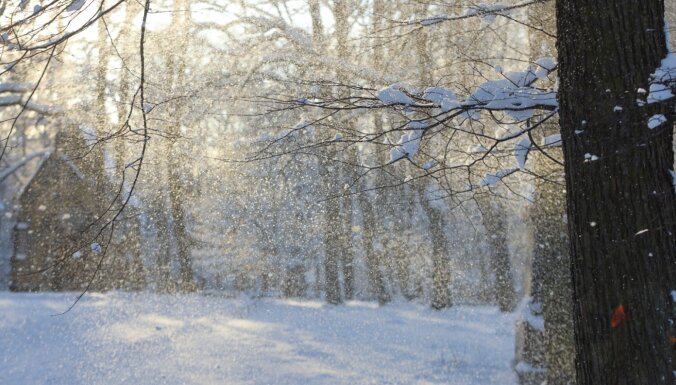 В Латвии началась метеорологическая зима