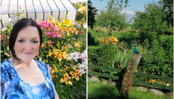 "Я - охотник за сокровищами!" Кристина Рудавичуте-Путниня о редких цветах, экспериментах в огороде и павлинах в своем саду