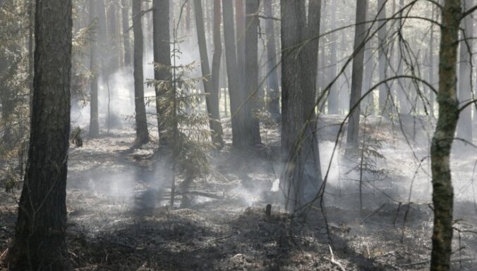 Mēneša laikā Latvijā izdeguši 78 hektāri meža