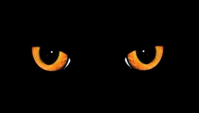 melns kaķis, maģija, mistika, māņticība