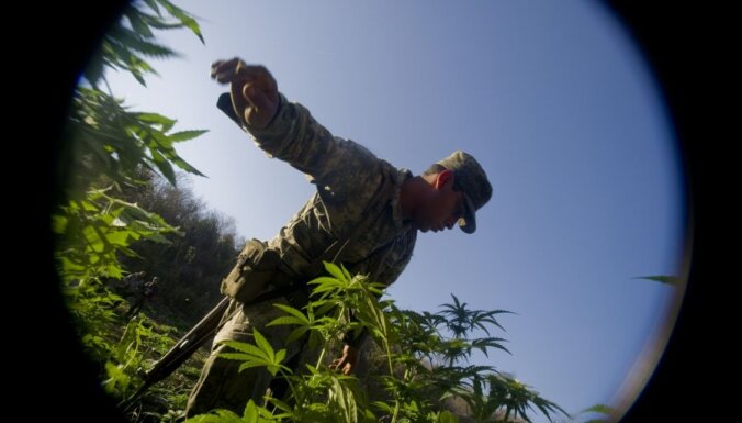 Peru policija sadedzina rekordlielu marihuānas daudzumu