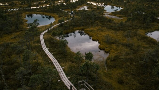 ФОТО. Лучшее место для осенних прогулок: Тропа Большого Кемерского болота