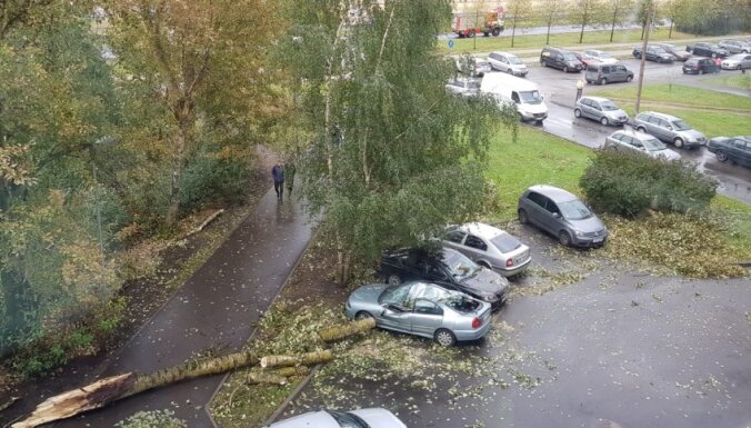 ФОТО: В Плявниеках дерево упало на пять припаркованных машин