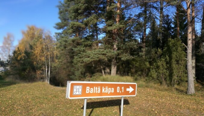 ФОТО. По дороге на Колку – Белая дюна у Рои