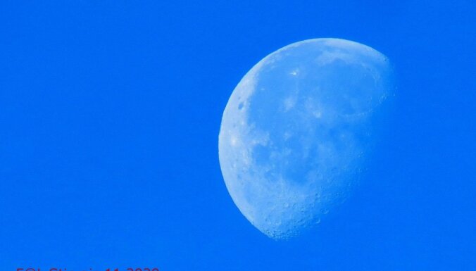 Leons Stiprais: Zilais zemes mēness un neparastākais putnu kāsis fotogrāfa mūžā