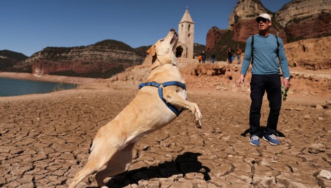 ФОТО: Каталония переживает сильнейшую засуху в истории