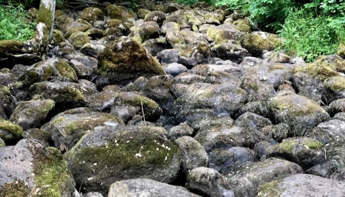 ФОТО. Чертова канава на речке Наружа — необычное место недалеко от Эргли