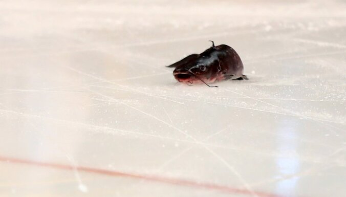 dead catfish on the ice Stanley Cup final