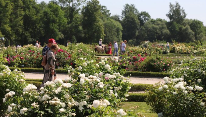 Sākusies Latvijas ziedošo kolekciju dārzu apceļošanas akcija 'Ziedu ceļos'