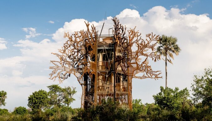 Baobaba koka māja: guli zem zvaigznēm, dabas skaņu un Āfrikas tuksneša burvības apņemts