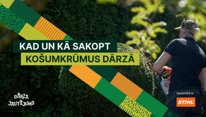 Noskaties! Svarīgākais par košumkrūmu veidošanu un kopšanu pavasarī