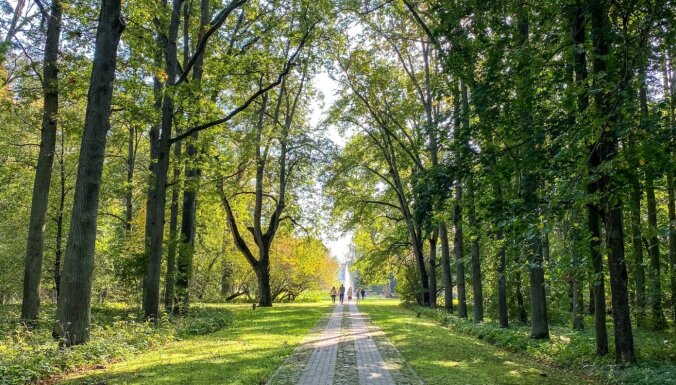 ФОТО. Всего 80 километров от Риги: Прогулка по берегу Даугавы в старейшем дендрарии Латвии