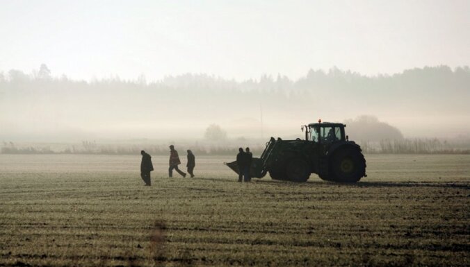 Lielbritānijā lauksaimniecības darbos apkrāpj viesstrādniekus no Latvijas un Lietuvas