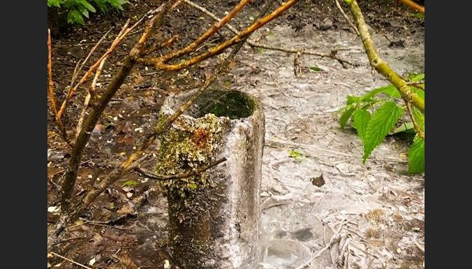 Brīvdienu maršruts: avotu un peldēšanās tūre Baldonē